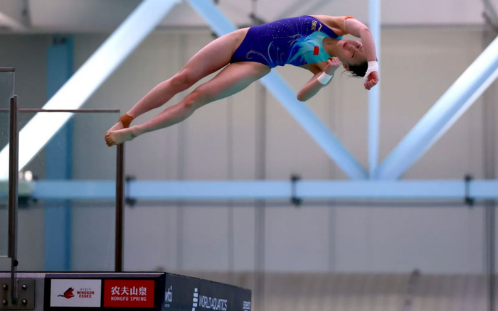 “梦之队”5位奥运冠军领衔出战世界杯总决赛。 组委会供图