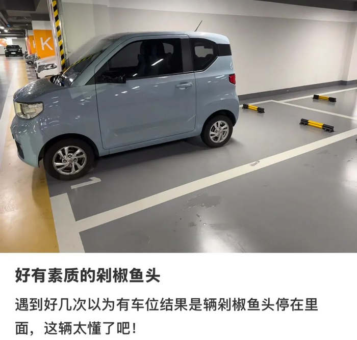 〓 图源：海拉鲁小猫咪