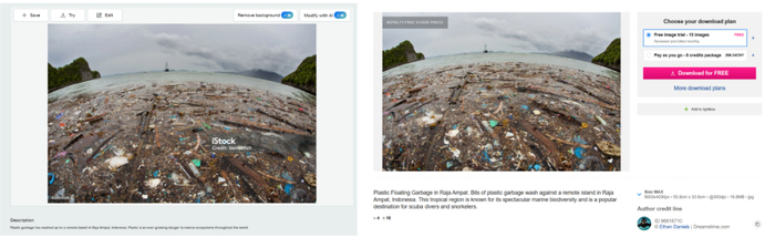 Istock、Dreamstime图片网站截图。