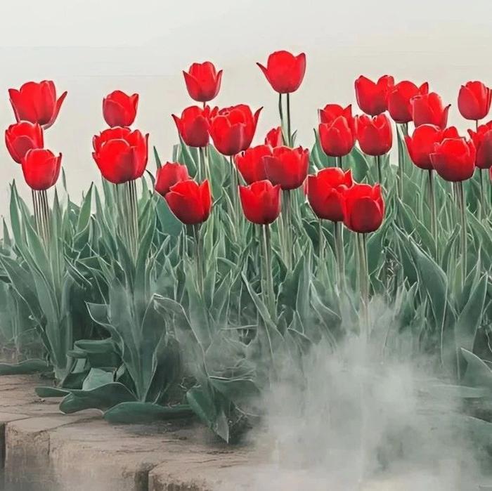 一个人见过世面最高的境界是什么？