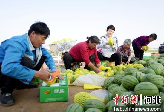 村民们在给西瓜打包装箱。 崔贤飞 摄