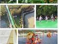 南京森林大世界 “五一”亲子游活动多