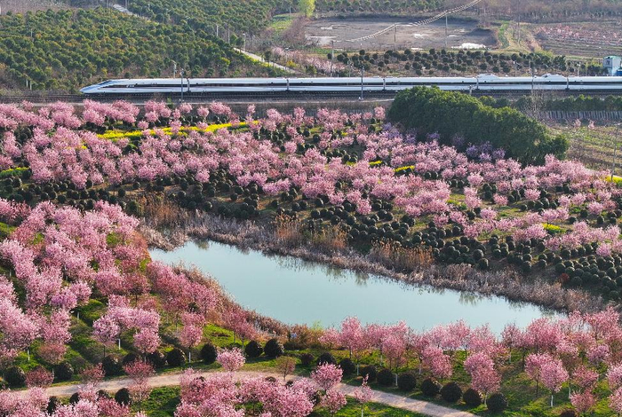 2025年3月19日，一列高铁列车行驶在安徽省合肥市肥东县长临河镇合福高铁线路上（无人机照片）。新华社记者 杜宇 摄