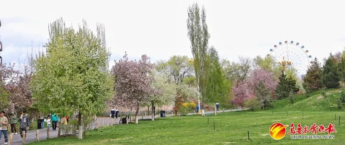 4月20日，市植物园繁花满树，粉绿相间，勾勒出绚丽春景。资料图片