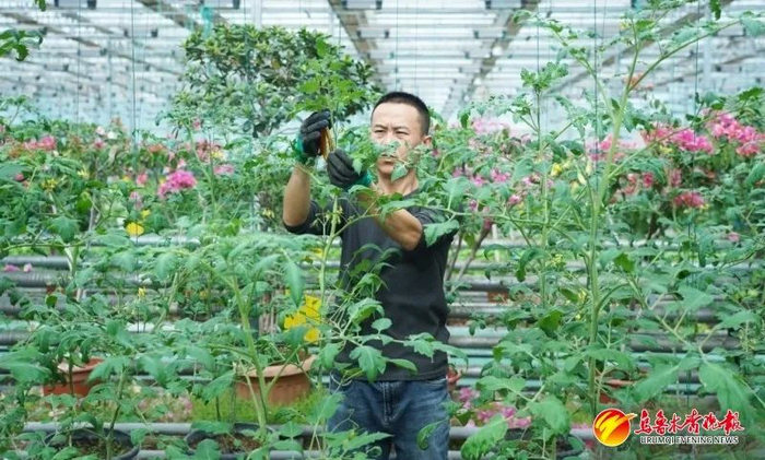 在西缘农业慢生活园区，工作人员在查看蔬菜长势。资料图片