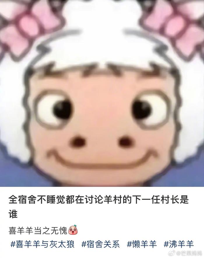 现在轮到我睡不着在想了，到底谁能当村长