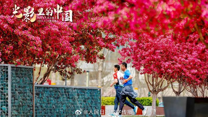 每日晨语 人生建议：主动一点，其实没那么难