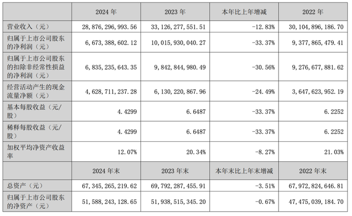 （洋河股份2024年财报截图）