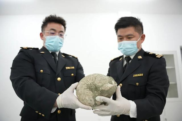 图片来源：“海关发布”微信公众号