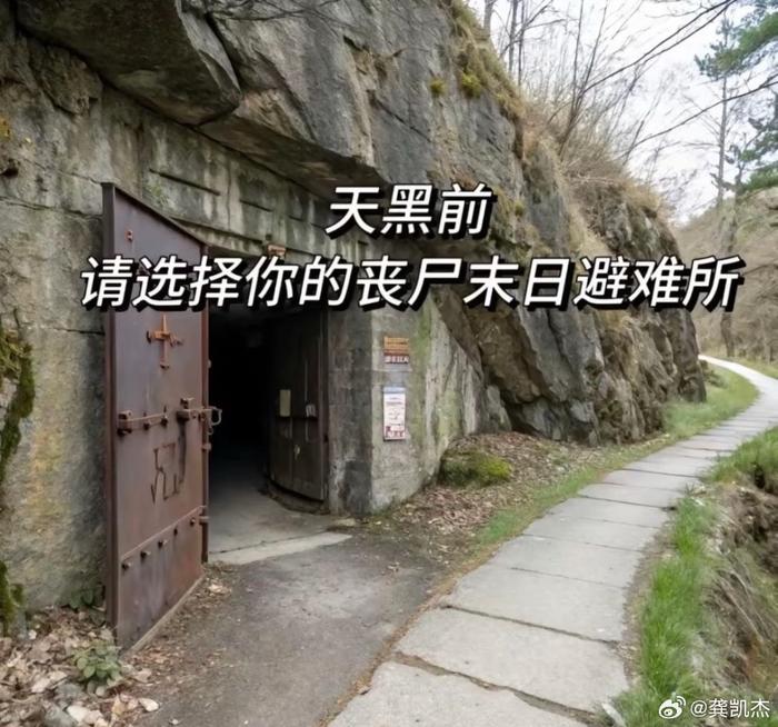 假如天黑后丧尸末日就会降临，你会选择哪个做你的避难所？