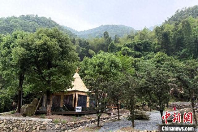 森林环抱中的营地。钱晨菲 摄