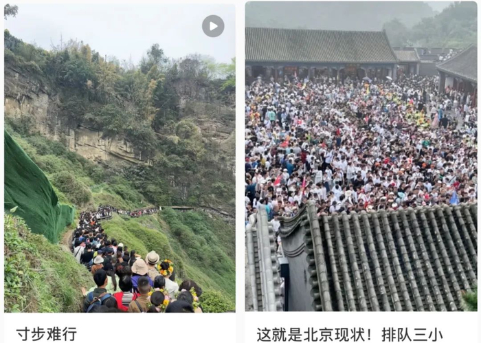       图源：小红书@阿波罗吃菠萝、@电子小猫  