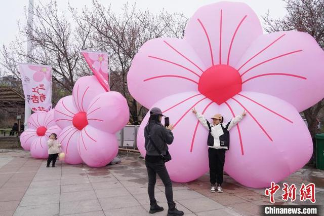 游客打卡杏花气模。 赵宇航 摄