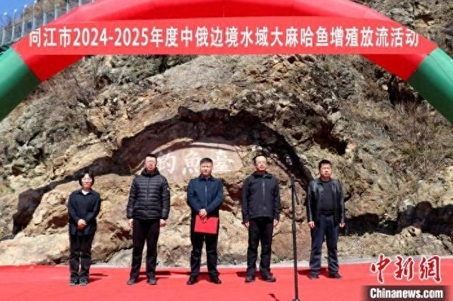 同江市开展2024-2025年度中俄边境水域大麻哈鱼增殖放流活动。 同江市委宣传部供图