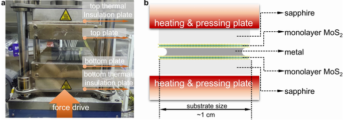 图丨挤压装置的照片和示意图（来源：Nature）