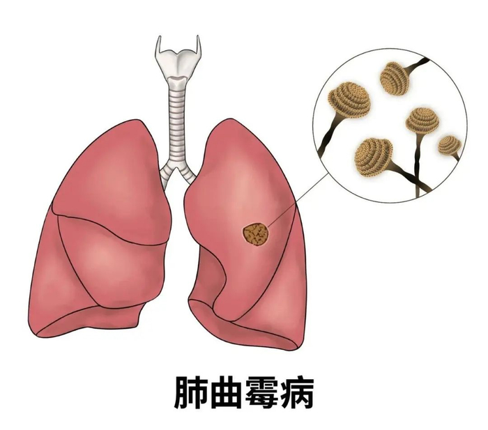 图源：健康杭州