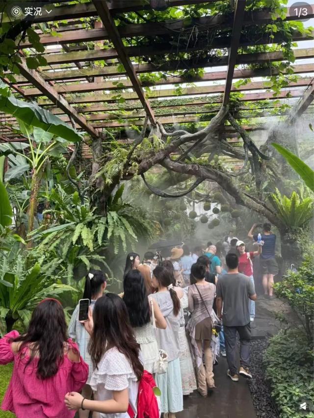 仿佛误入了莫奈的花园，南宁青秀山荫生植物园吸引大批游客打卡。社交平台截图