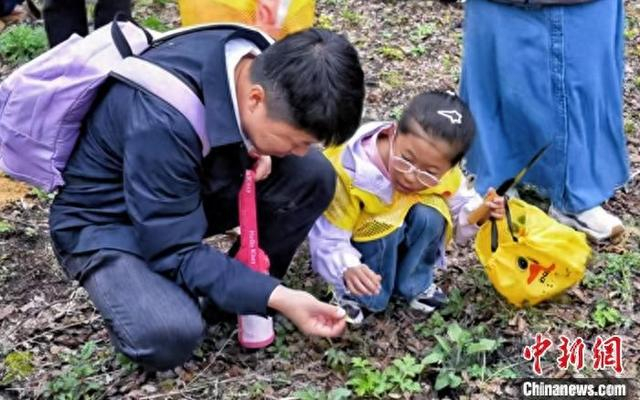 亲子家庭体验挖野菜。 铁力市委宣传部供图