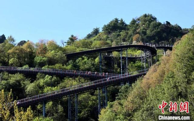 形似游龙行走的“云道”。康县融媒体中心供图
