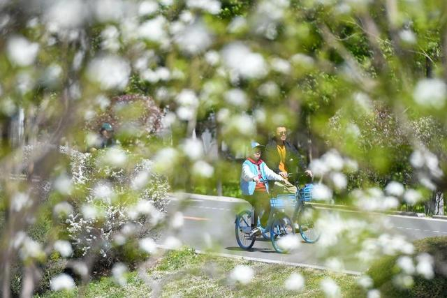 ↑5月2日，市民在长春伊通河滨水绿道上骑车。新华社记者 张楠 摄 