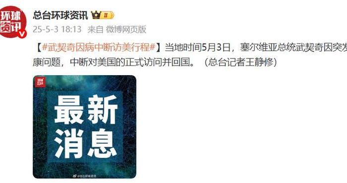 武契奇因病中断访美行程