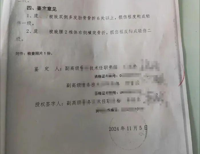 举报视频中所附的鉴定意见