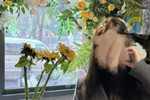 输头孢离世女生曾自行拔针头自救