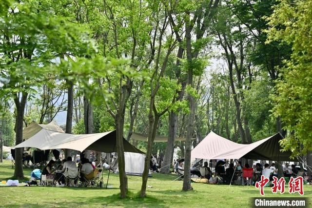5月4日，四川成都兴隆湖人气旺，民众携带户外装备在湖畔安营扎寨，乐享“五一”露营生活。中新社记者 张浪 摄