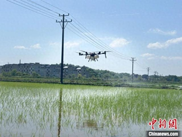 图为无人机在田间作业。汪嘉琪 摄