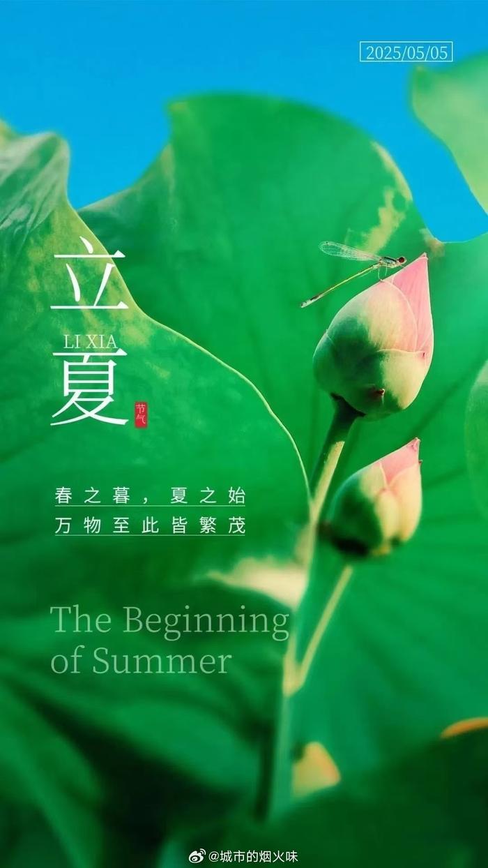 今日立夏，立夏是告别春天的婉约序曲，更是迎接盛夏的热情邀约