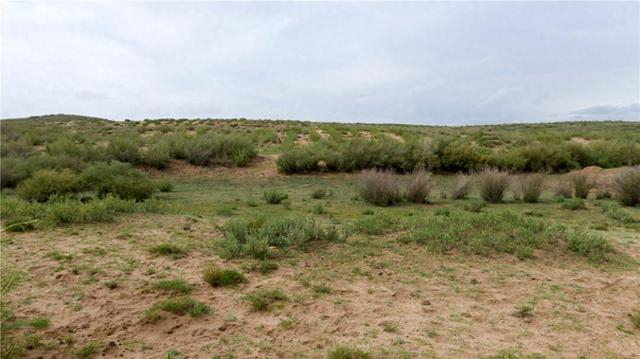 正蓝旗境内的浑善达克沙地铺满绿意。（资料图）