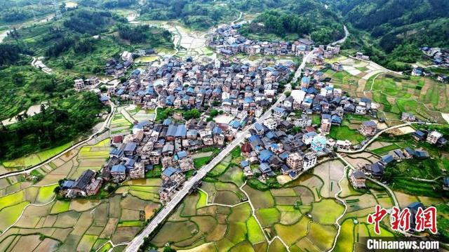 图为航拍南寨村田园风光。龚普康 摄