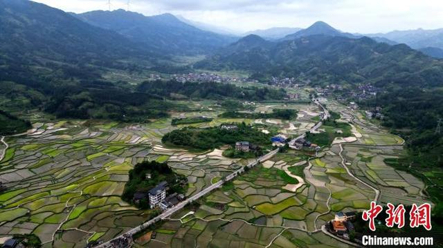 图为航拍南寨村田园风光。龚普康 摄