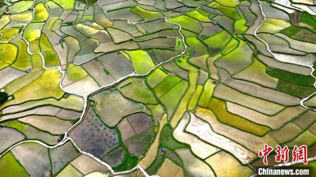 图为南寨村田园风光如画。龚普康 摄