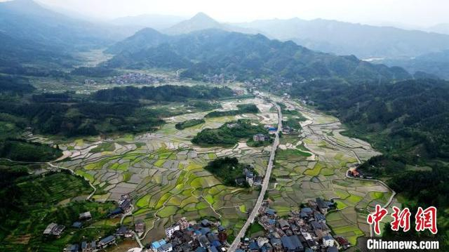 图为航拍南寨村田园风光。龚普康 摄