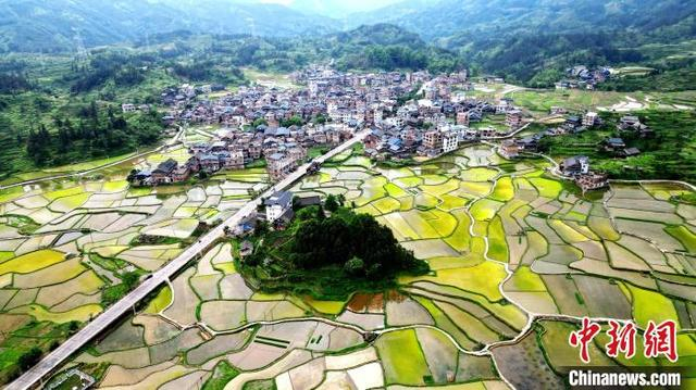 图为航拍南寨村田园风光。龚普康 摄