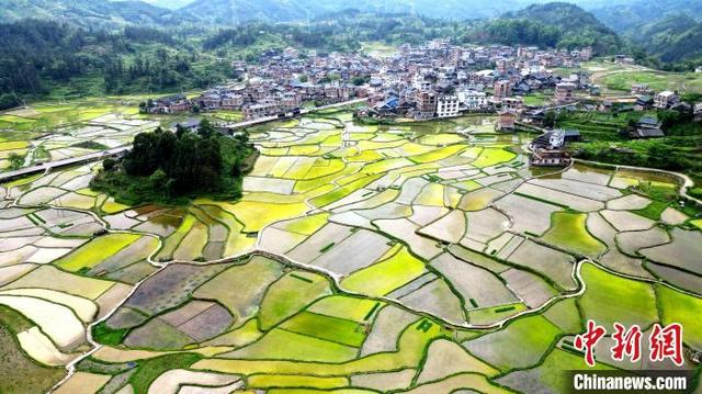 图为南寨村田园风光如画。龚普康 摄
