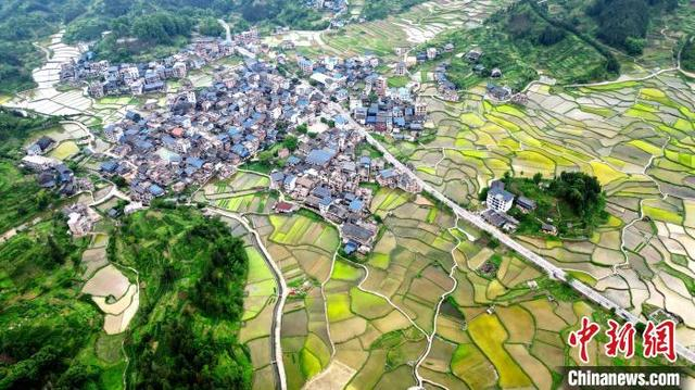 图为南寨村田园风光如画。龚普康 摄