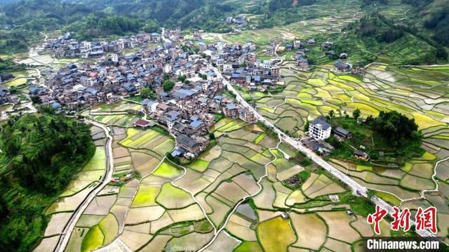 图为航拍南寨村田园风光。龚普康 摄