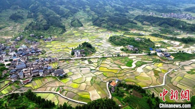 图为航拍南寨村田园风光。龚普康 摄