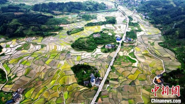 图为南寨村田园风光如画。龚普康 摄