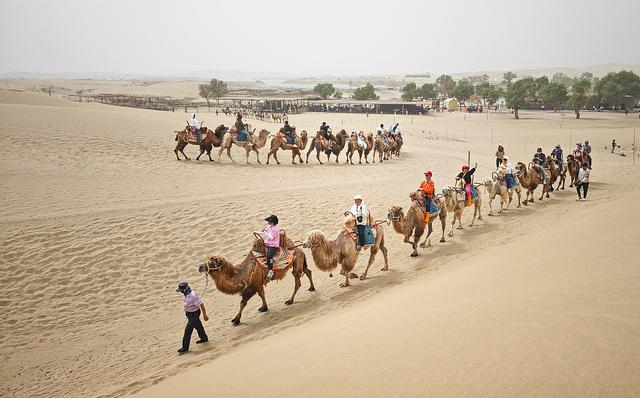 2025年5月4日，在新疆巴音郭楞蒙古自治州尉犁县罗布人村寨景区，游客骑骆驼观赏大漠风光。 视觉中国 图
