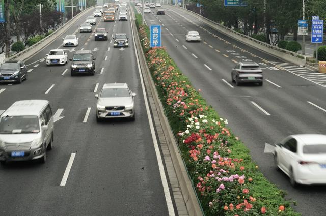 来源：北京日报客户端