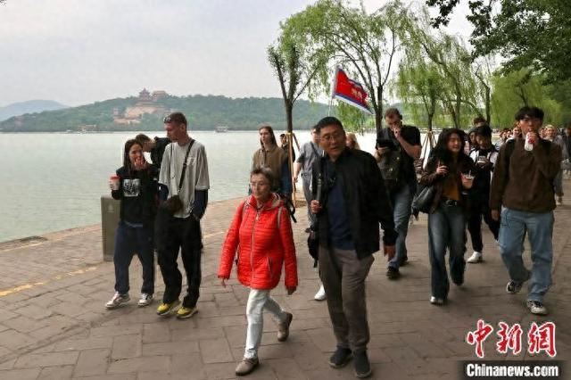 5月5日，导游带着一队外国游客在北京颐和园游览参观。 中新社记者 易海菲 摄