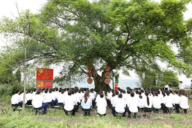 “青马学员”研学实践活动现场。团綦江区委供图