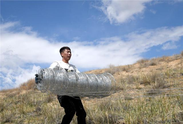 越来越多的牧民参与浑善达克沙地歼灭战。（资料图）