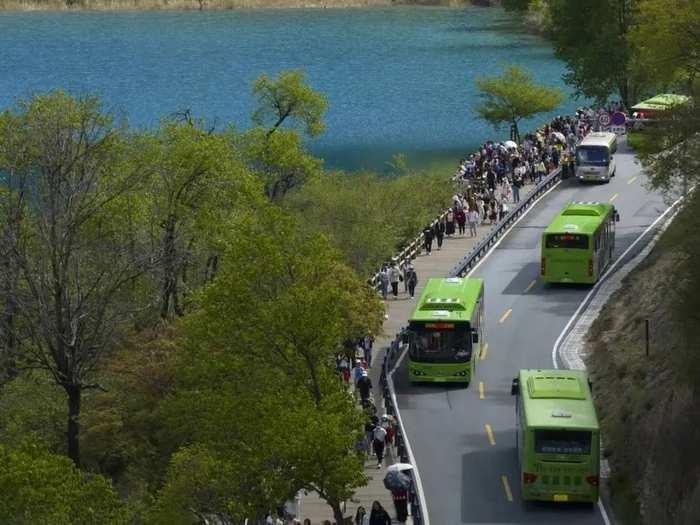 观光车秩序井然