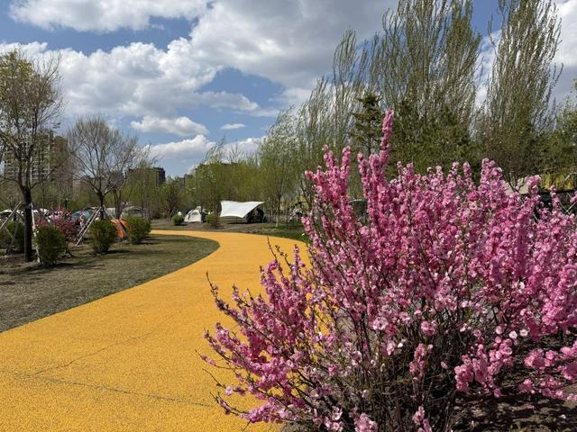 5月2日，市民在长春百草园露营。新华社记者 赵丹丹 摄