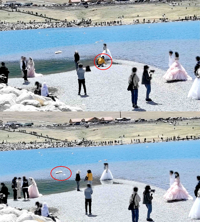 黄衣女子疑似捡起石子砸天鹅。视频截图