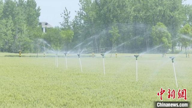怀远县水利局科学调配水资源，全力保障农田灌溉需求。怀远县委宣传部供图。
